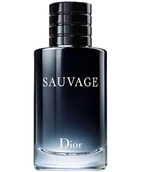 profumo dior segret 100ml|dior sauvage cologne top notes.